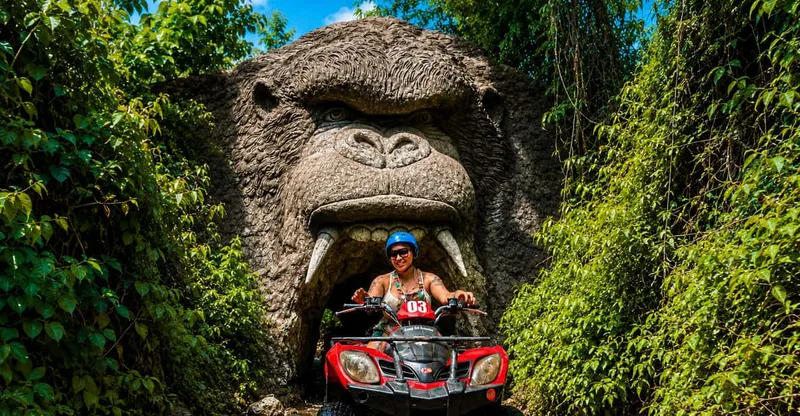 Ubud Quad Bike and Ayung River Rafting Adventure — ATV tour in Ubud